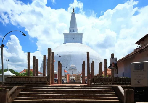 15254287963_8305d2428f_b