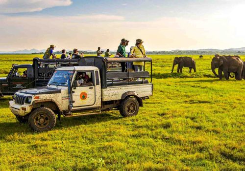 Habarana-1920x1080-3