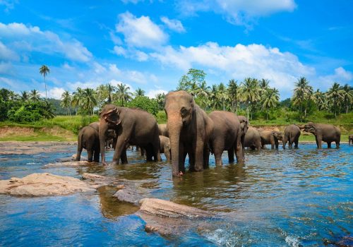 the-orphanage-was-founded (1)